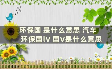 环保国 是什么意思 汽车环保国lV 国V是什么意思